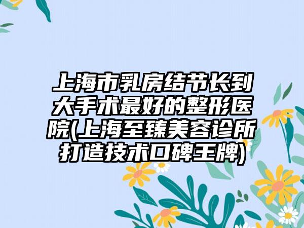 上海市乳房结节长到大手术最好的整形医院(上海至臻美容诊所打造技术口碑王牌)
