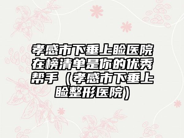 孝感市下垂上睑医院在榜清单是你的优秀帮手（孝感市下垂上睑整形医院）