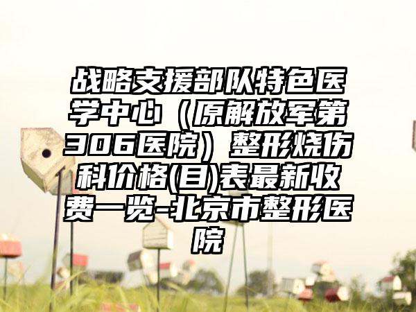战略支援部队特色医学中心（原解放军第306医院）整形烧伤科价格(目)表最新收费一览-北京市整形医院