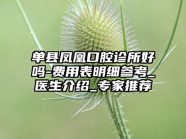 单县凤凰口腔诊所好吗-费用表明细参考_医生介绍_专家推荐