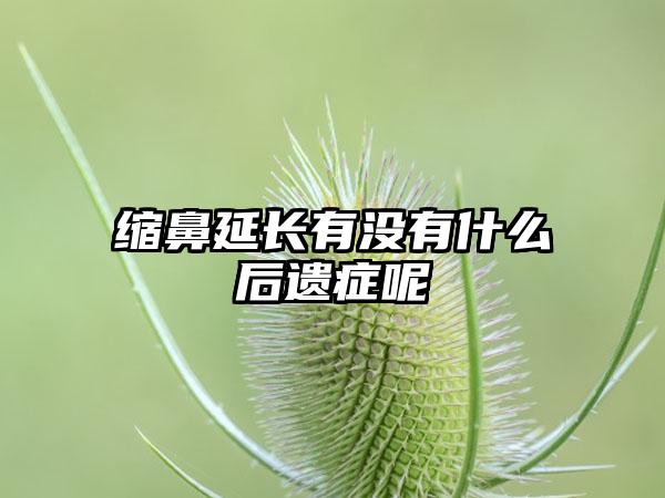 缩鼻延长有没有什么后遗症呢