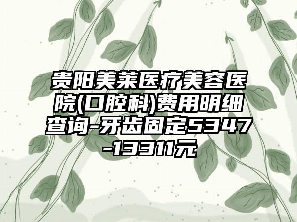 贵阳美莱医疗美容医院(口腔科)费用明细查询-牙齿固定5347-13311元