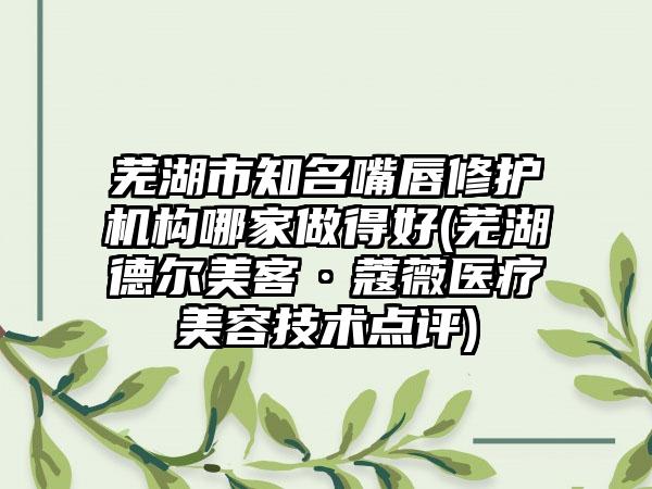 芜湖市知名嘴唇修护机构哪家做得好(芜湖德尔美客·蔻薇医疗美容技术点评)