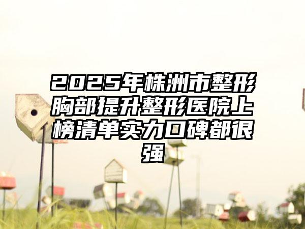2025年株洲市整形胸部提升整形医院上榜清单实力口碑都很强