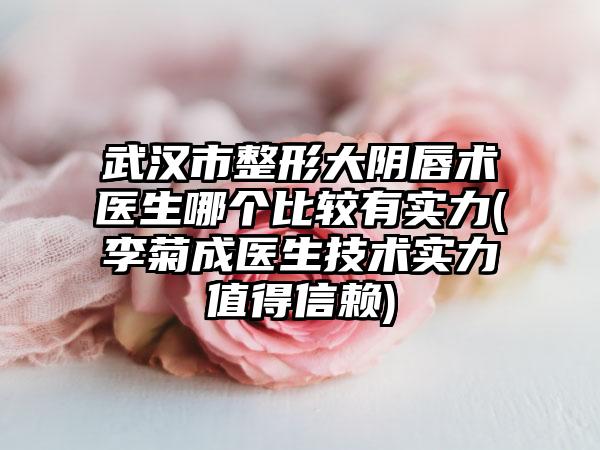 武汉市整形大阴唇术医生哪个比较有实力(李菊成医生技术实力值得信赖)