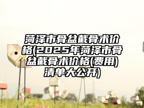 菏泽市骨盆截骨术价格(2025年菏泽市骨盆截骨术价格(费用)清单大公开)