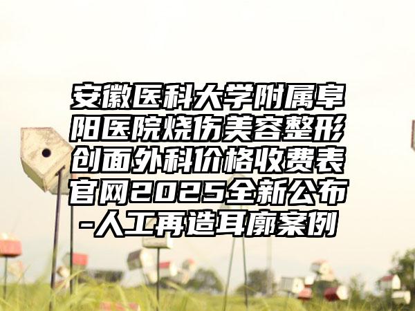 安徽医科大学附属阜阳医院烧伤美容整形创面外科价格收费表官网2025全新公布-人工再造耳廓案例