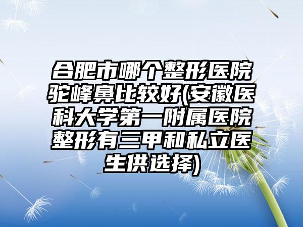 合肥市哪个整形医院驼峰鼻比较好(安徽医科大学第一附属医院整形有三甲和私立医生供选择)