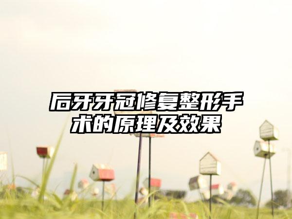 后牙牙冠修复整形手术的原理及效果