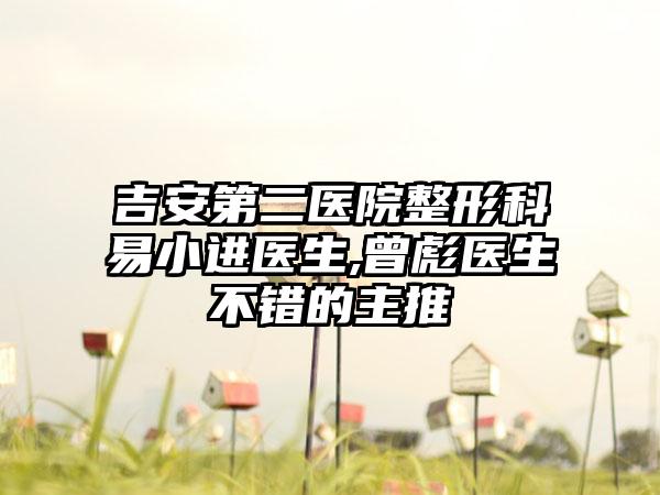 吉安第二医院整形科易小进医生,曾彪医生不错的主推