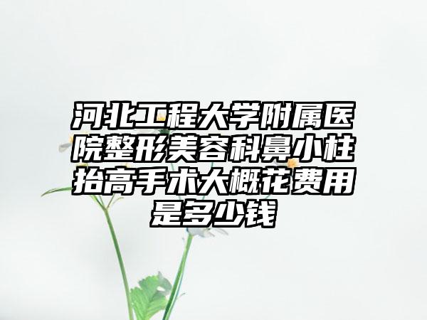 河北工程大学附属医院整形美容科鼻小柱抬高手术大概花费用是多少钱
