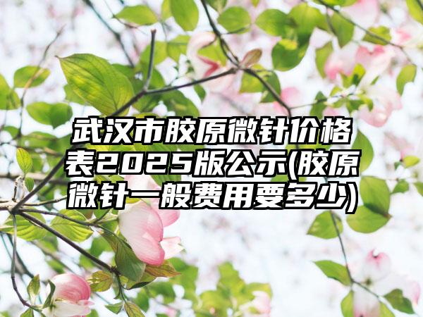 武汉市胶原微针价格表2025版公示(胶原微针一般费用要多少)