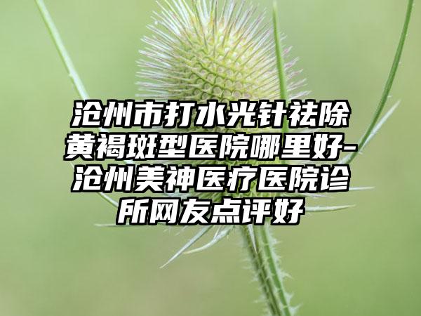 沧州市打水光针祛除黄褐斑型医院哪里好-沧州美神医疗医院诊所网友点评好