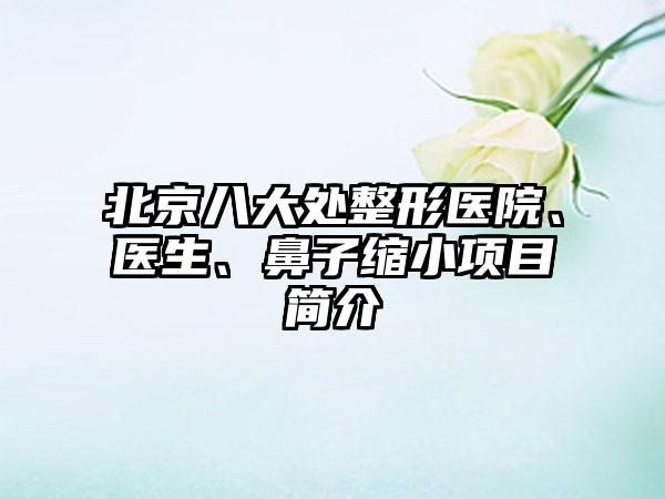 北京八大处整形医院、医生、鼻子缩小项目简介