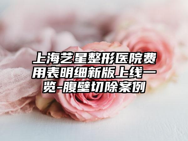 上海艺星整形医院费用表明细新版上线一览-腹壁切除案例