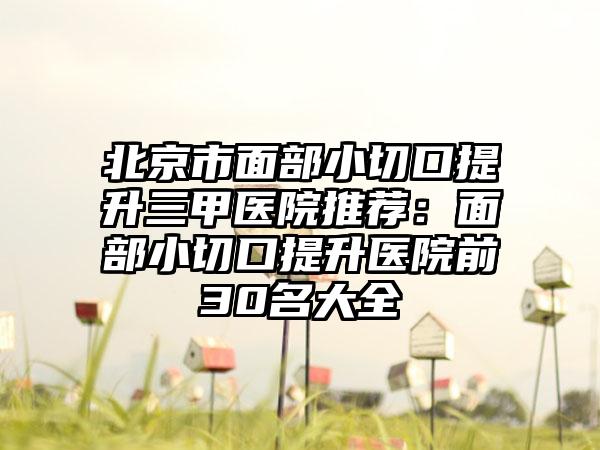 北京市面部小切口提升三甲医院推荐：面部小切口提升医院前30名大全