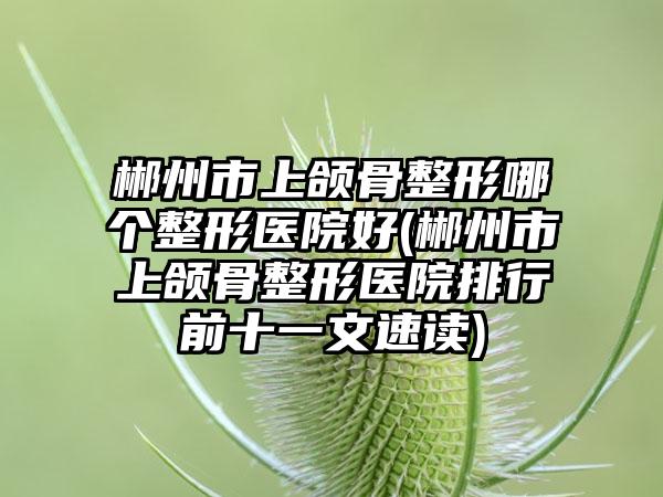 郴州市上颌骨整形哪个整形医院好(郴州市上颌骨整形医院排行前十一文速读)