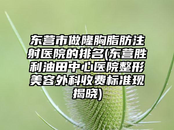 东营市做隆胸脂肪注射医院的排名(东营胜利油田中心医院整形美容外科收费标准现揭晓)
