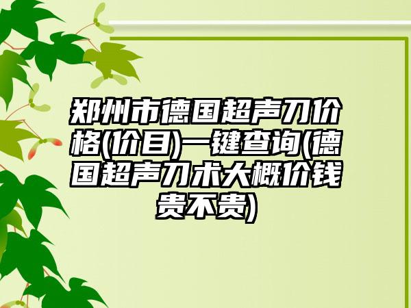 郑州市德国超声刀价格(价目)一键查询(德国超声刀术大概价钱贵不贵)