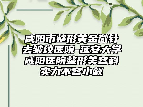 咸阳市整形黄金微针去皱纹医院-延安大学咸阳医院整形美容科实力不容小觑