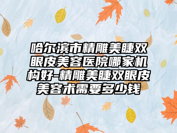 哈尔滨市精雕美睫双眼皮美容医院哪家机构好-精雕美睫双眼皮美容术需要多少钱