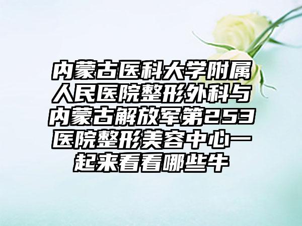 内蒙古医科大学附属人民医院整形外科与内蒙古解放军第253医院整形美容中心一起来看看哪些牛