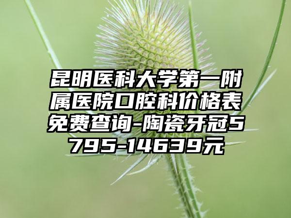 昆明医科大学第一附属医院口腔科价格表免费查询-陶瓷牙冠5795-14639元