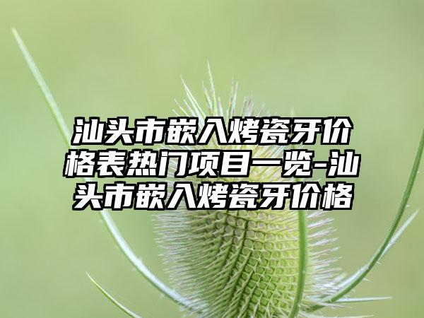 汕头市嵌入烤瓷牙价格表热门项目一览-汕头市嵌入烤瓷牙价格