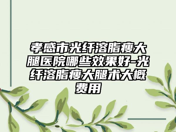 孝感市光纤溶脂瘦大腿医院哪些效果好-光纤溶脂瘦大腿术大概费用