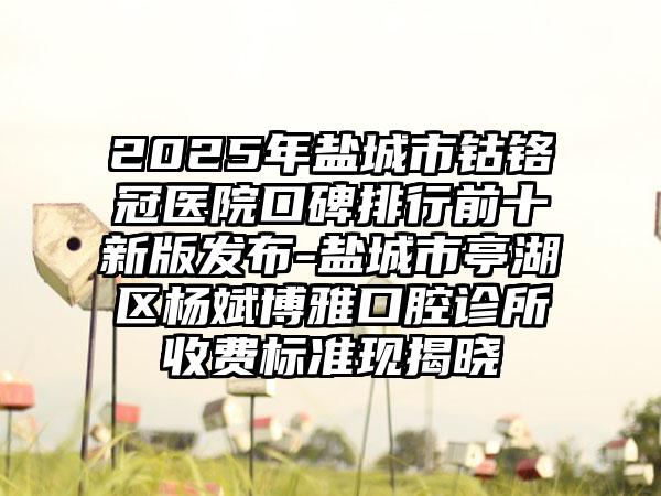 2025年盐城市钴铬冠医院口碑排行前十新版发布-盐城市亭湖区杨斌博雅口腔诊所收费标准现揭晓