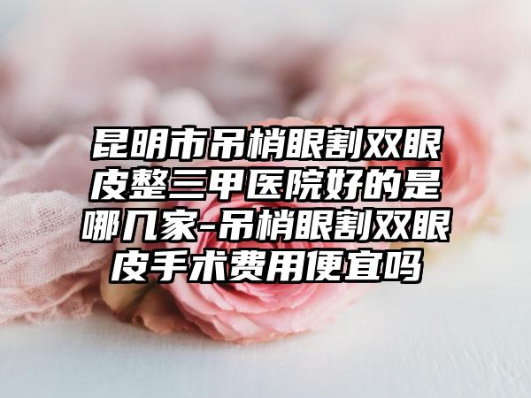 昆明市吊梢眼割双眼皮整三甲医院好的是哪几家-吊梢眼割双眼皮手术费用便宜吗