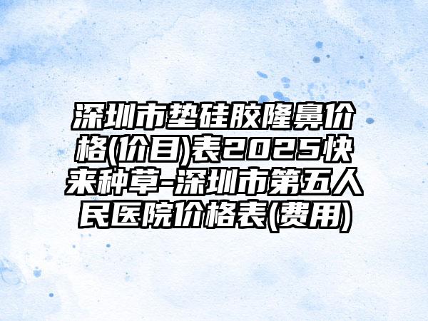 深圳市垫硅胶隆鼻价格(价目)表2025快来种草-深圳市第五人民医院价格表(费用)