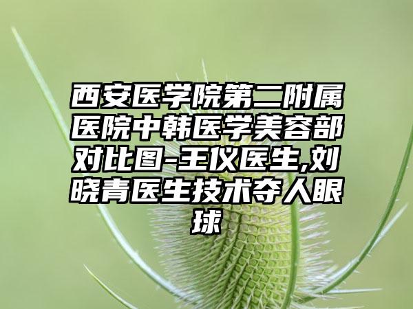 西安医学院第二附属医院中韩医学美容部对比图-王仪医生,刘晓青医生技术夺人眼球