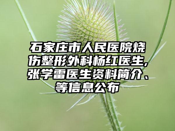 石家庄市人民医院烧伤整形外科杨红医生,张学雷医生资料简介、等信息公布