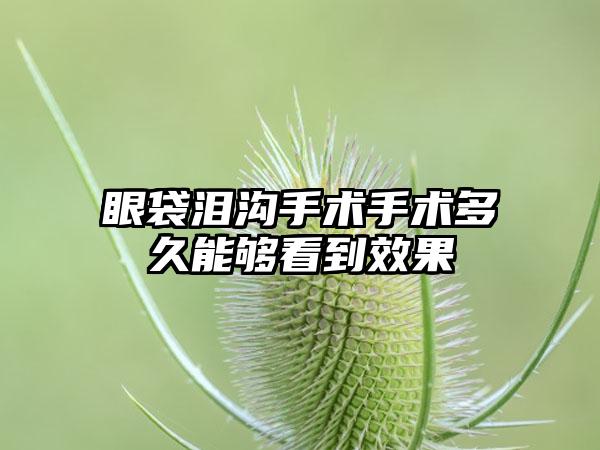 眼袋泪沟手术手术多久能够看到效果