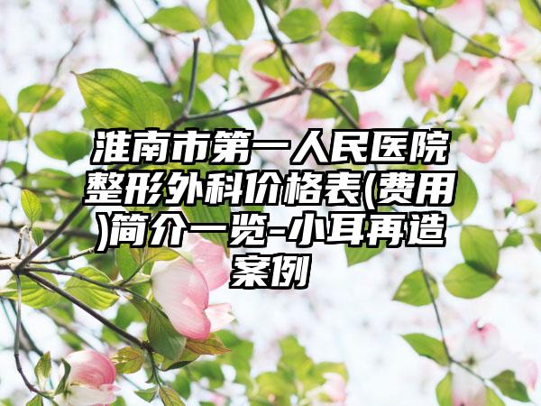 淮南市第一人民医院整形外科价格表(费用)简介一览-小耳再造案例