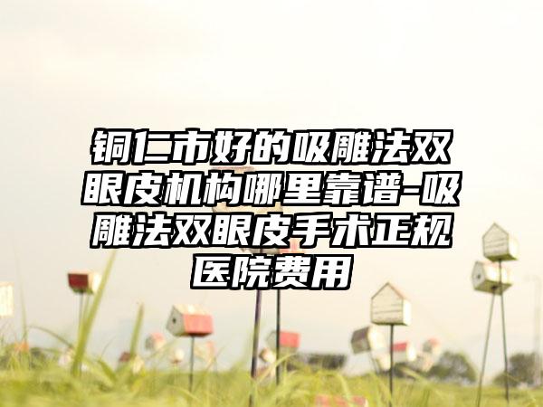 铜仁市好的吸雕法双眼皮机构哪里靠谱-吸雕法双眼皮手术正规医院费用